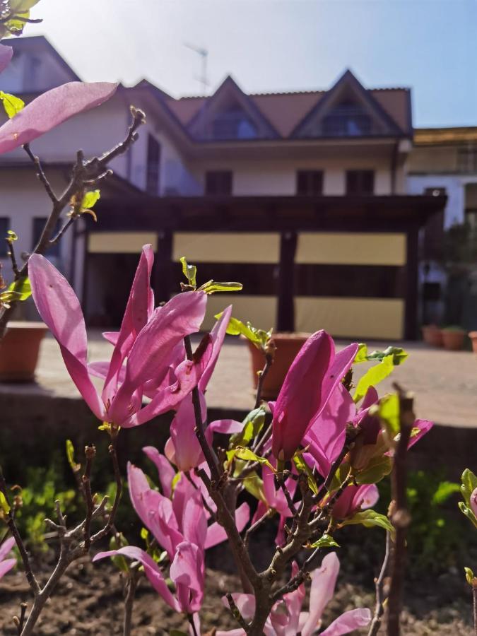 Hotel Edelweiss Laino Borgo Bagian luar foto