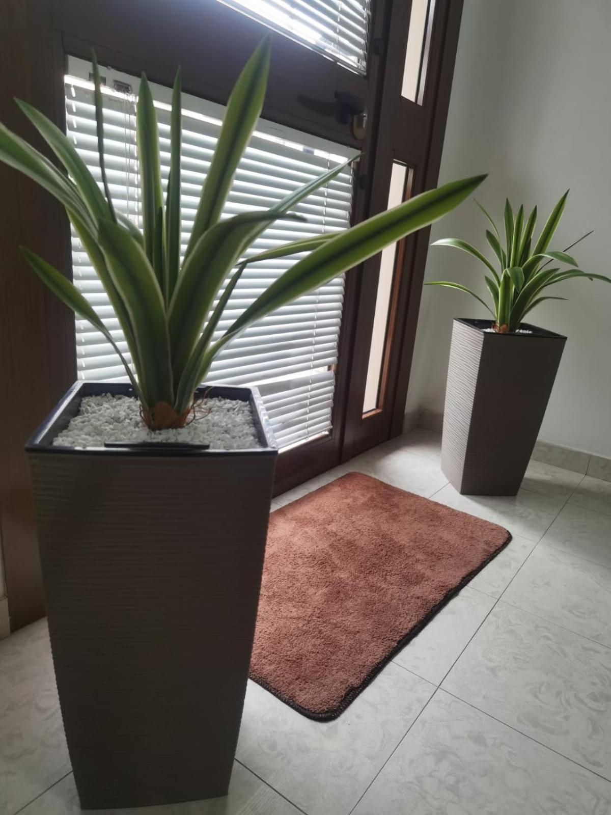 Hotel Edelweiss Laino Borgo Bagian luar foto