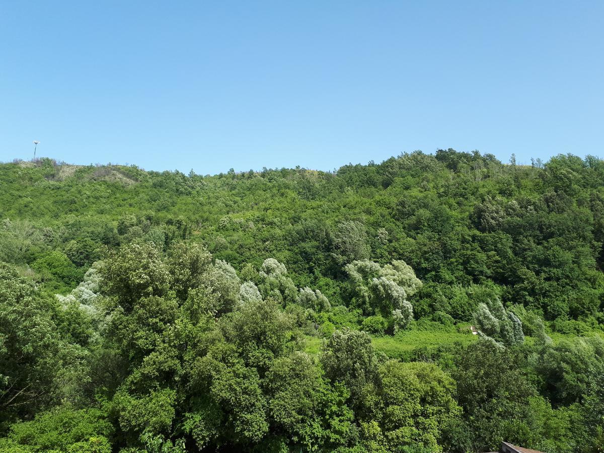 Hotel Edelweiss Laino Borgo Bagian luar foto